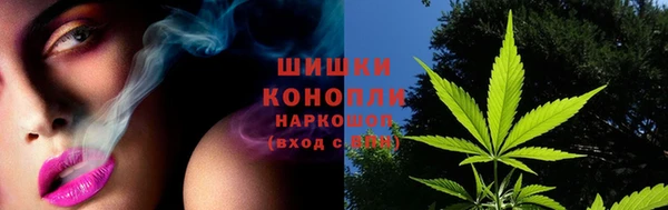 spice Новозыбков