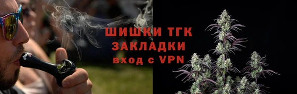 spice Новозыбков