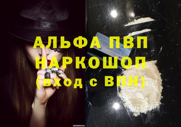 spice Новозыбков