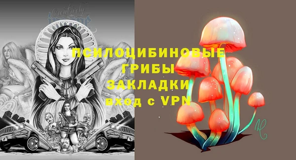 мет Новодвинск