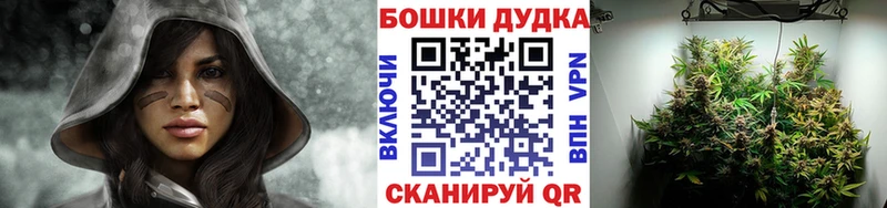 Конопля OG Kush  Купить  Зуевка 